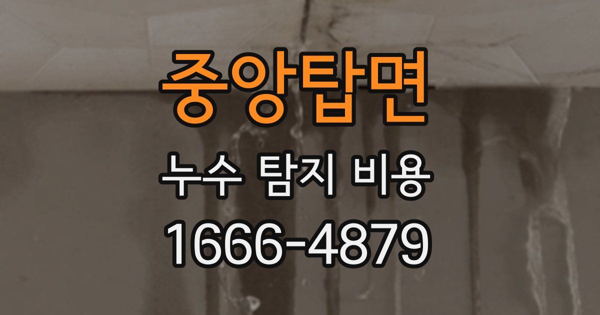 중앙탑면 누수 탐지 비용