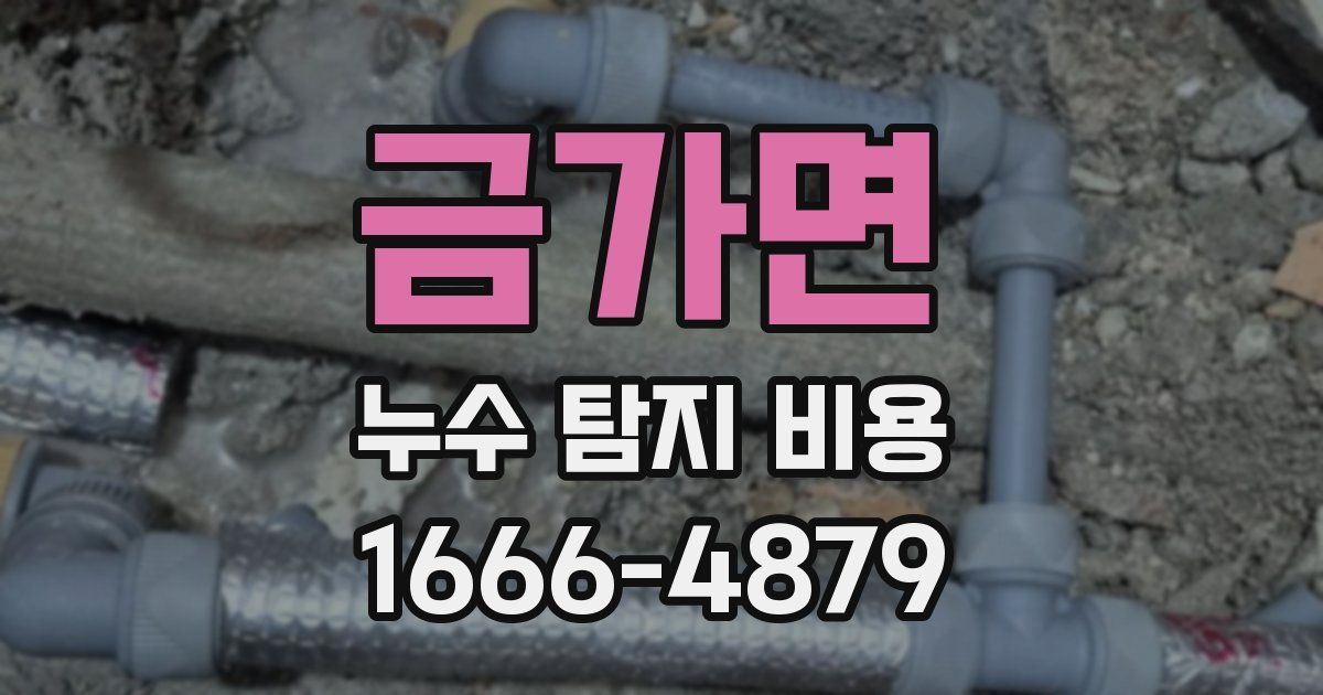 금가면 누수 탐지 비용