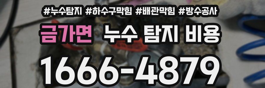 금가면 누수 탐지 비용