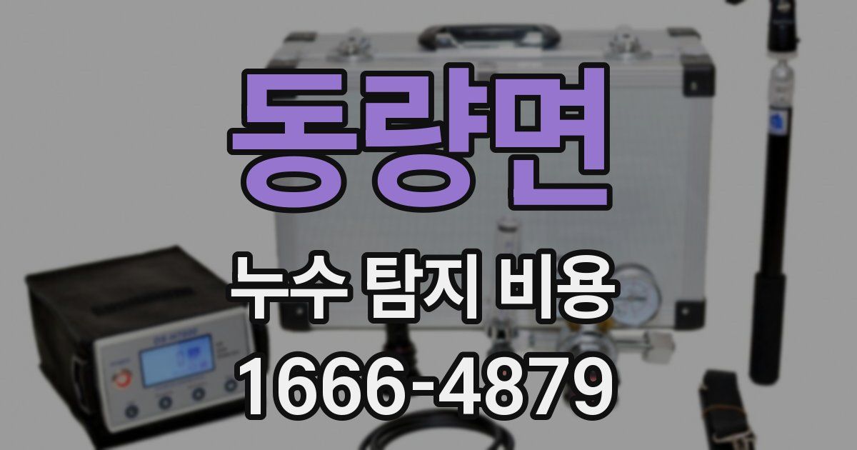 동량면 누수 탐지 비용