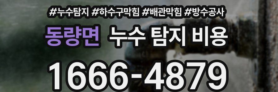 동량면 누수 탐지 비용