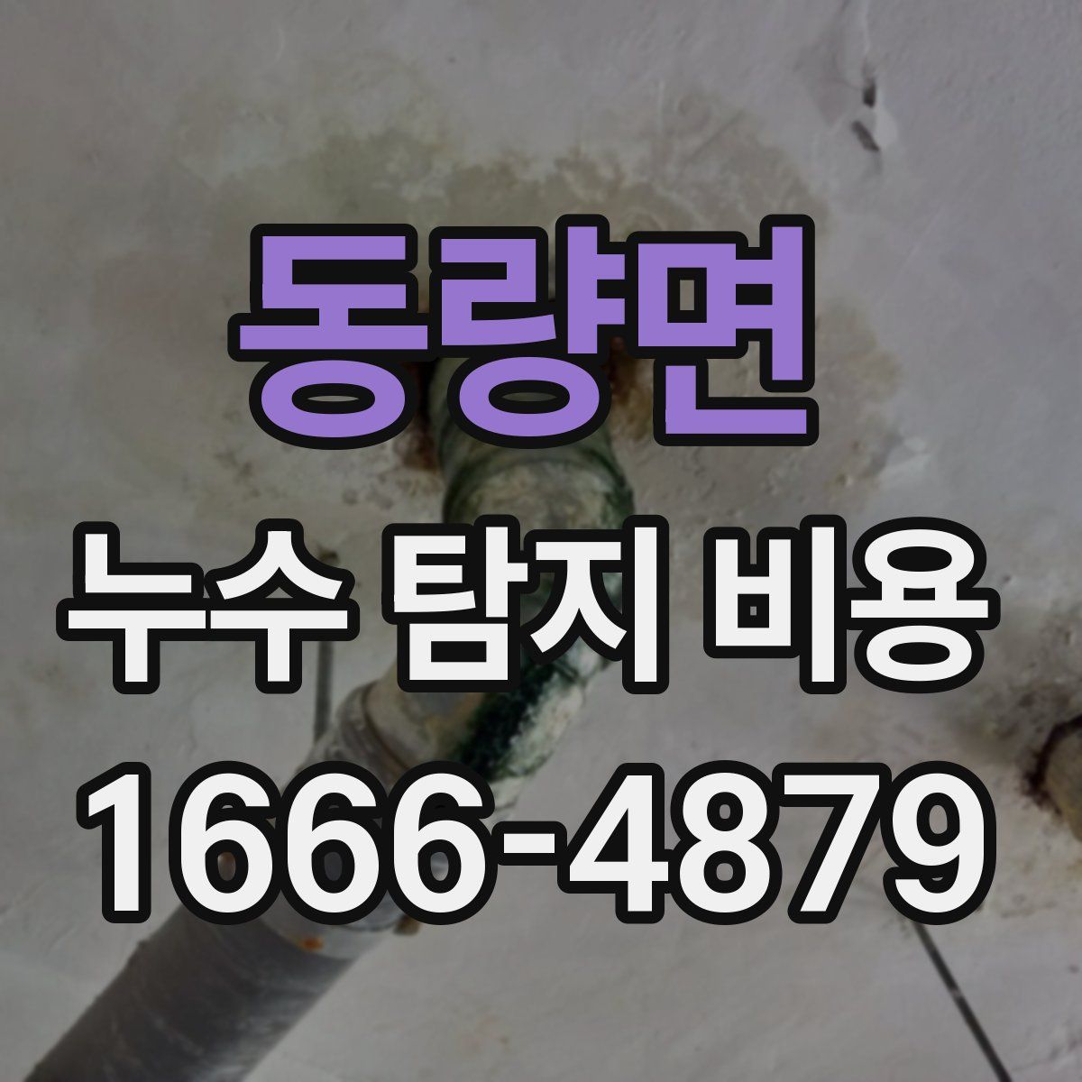 동량면 누수 탐지 비용