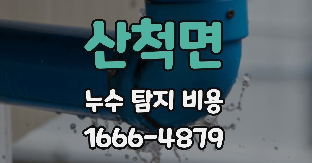 산척면 누수 탐지 비용