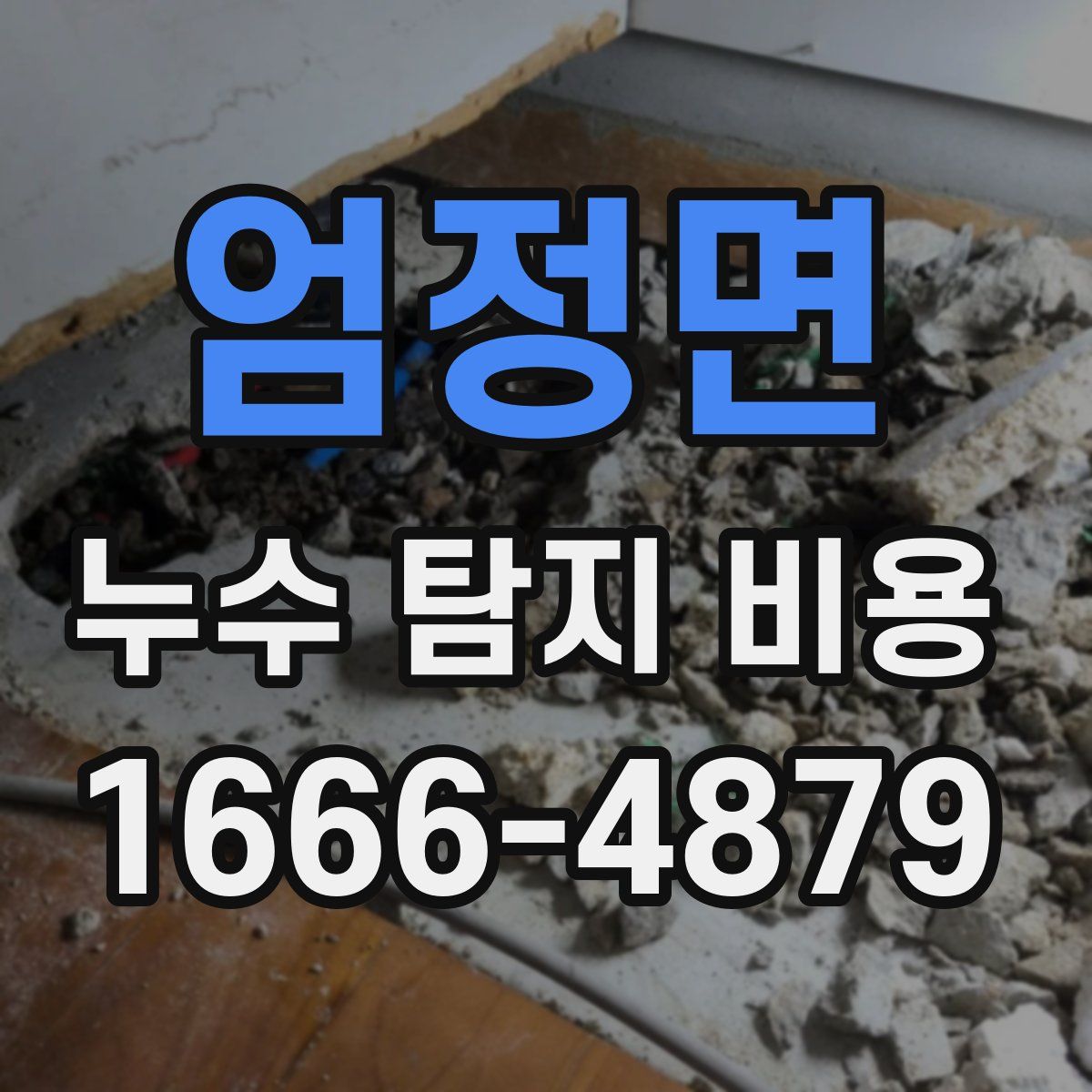 엄정면 누수 탐지 비용