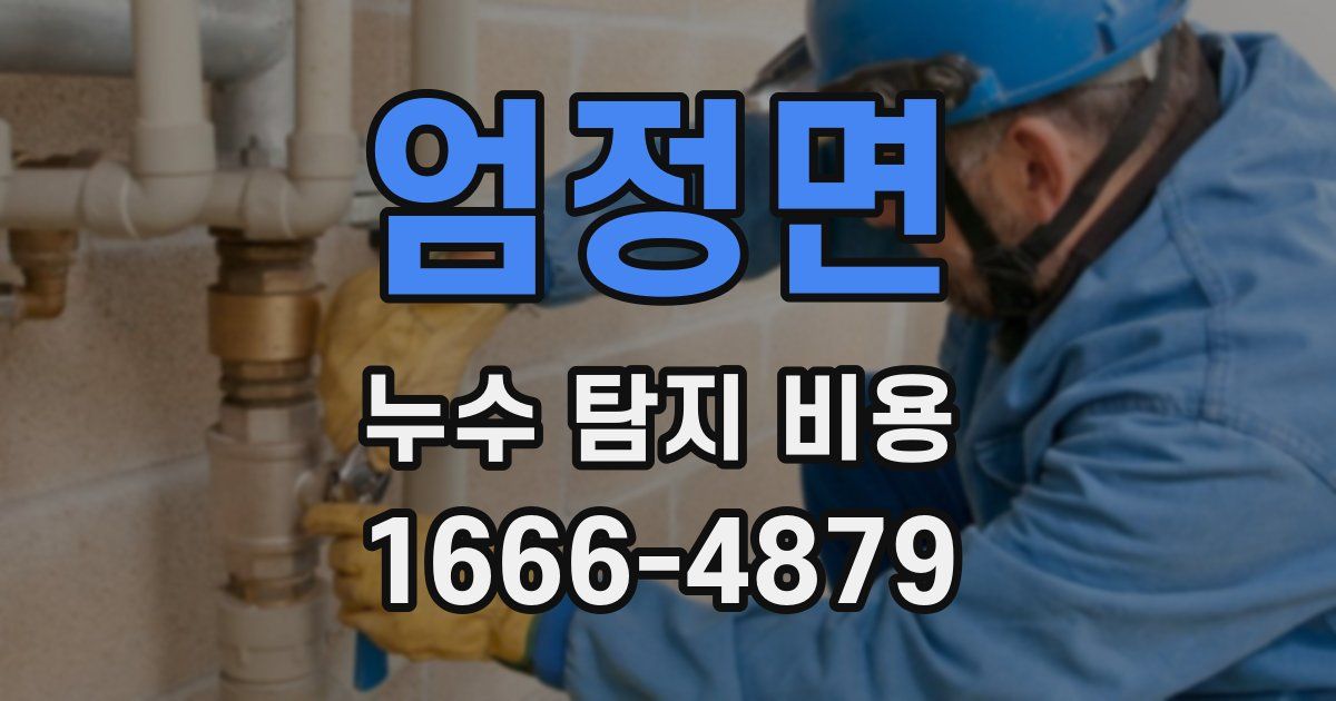 엄정면 누수 탐지 비용