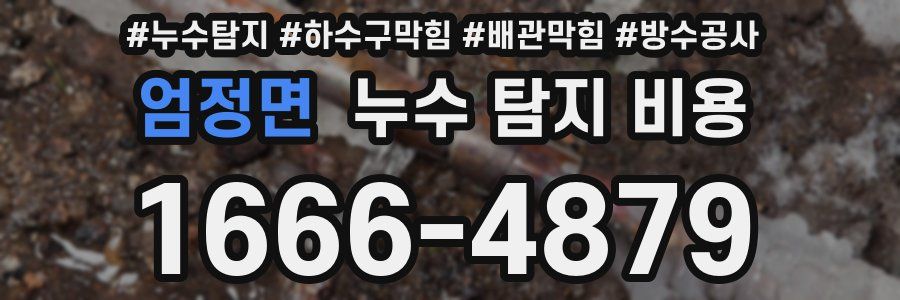엄정면 누수 탐지 비용