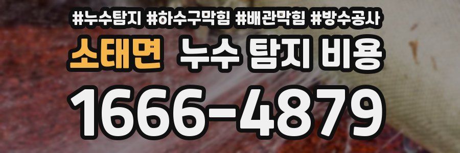소태면 누수 탐지 비용