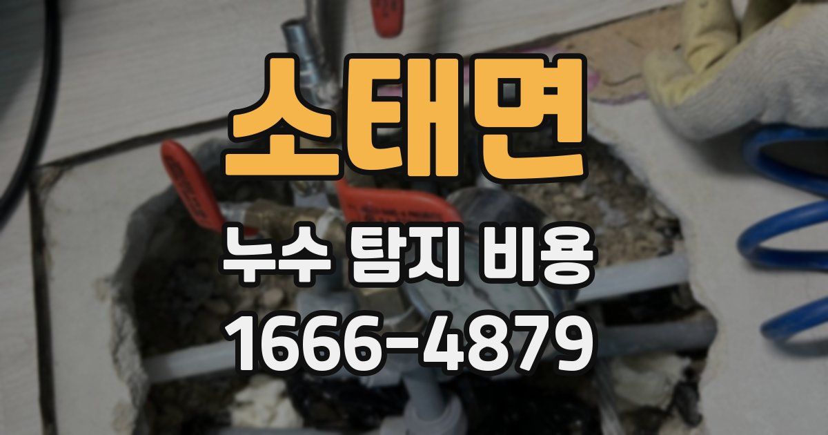 소태면 누수 탐지 비용