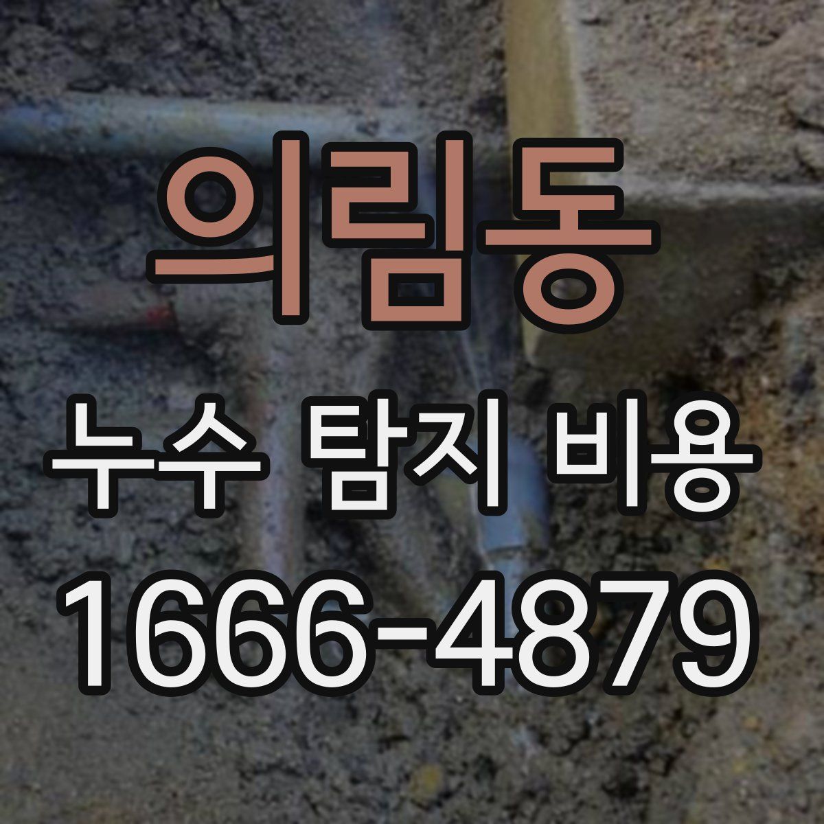 의림동 누수 탐지 비용