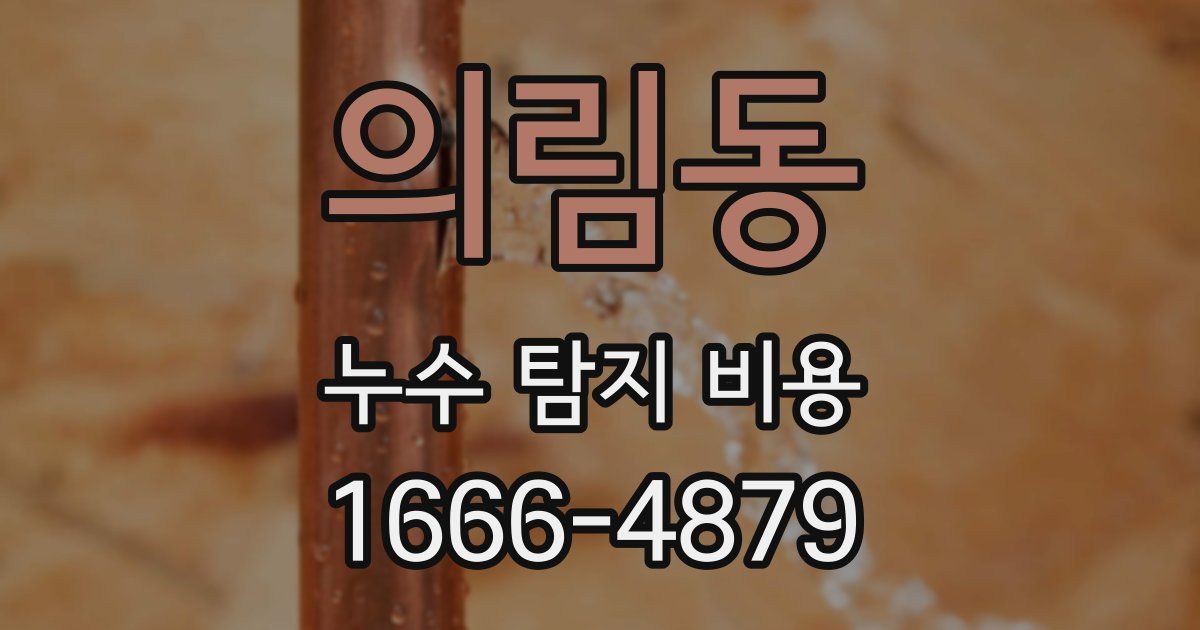 의림동 누수 탐지 비용