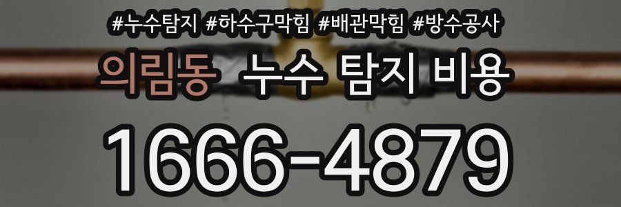 의림동 누수 탐지 비용