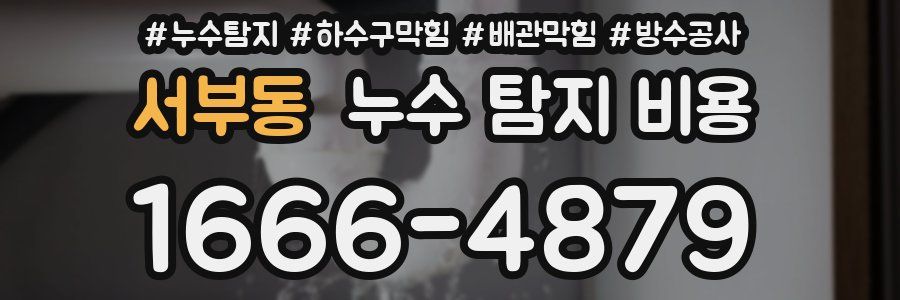 서부동 누수 탐지 비용