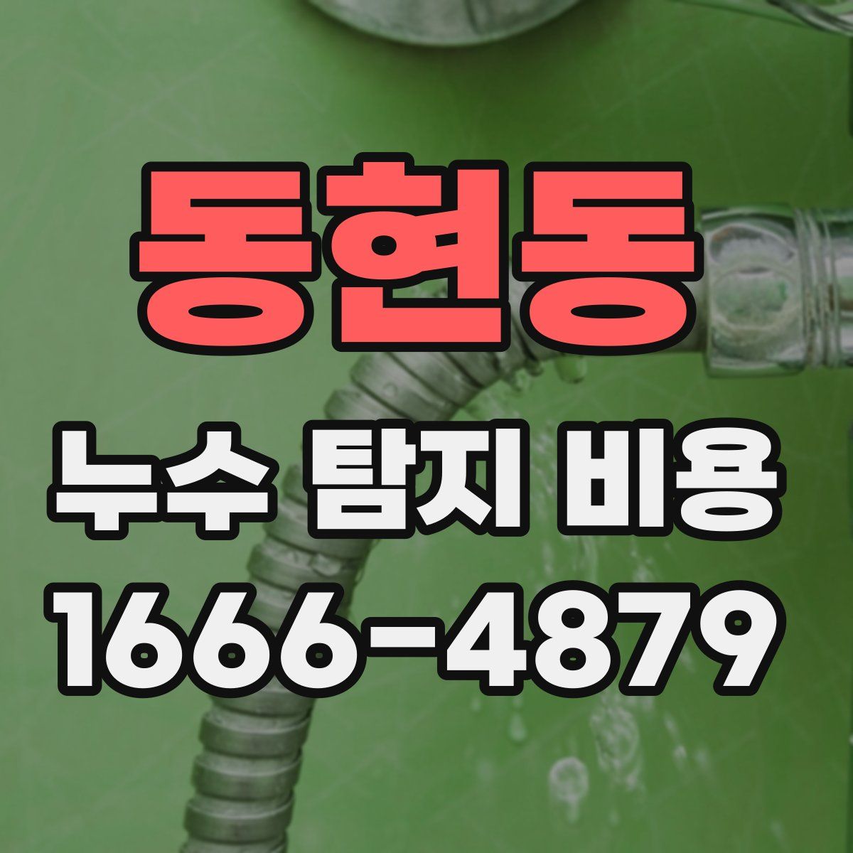 동현동 누수 탐지 비용