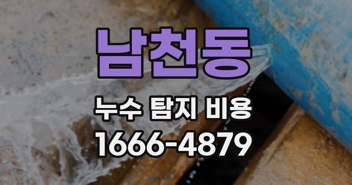 남천동 누수 탐지 비용
