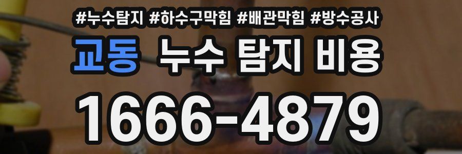 교동 누수 탐지 비용