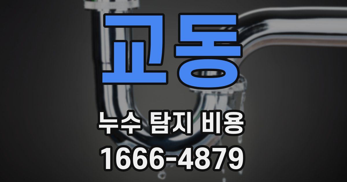 교동 누수 탐지 비용