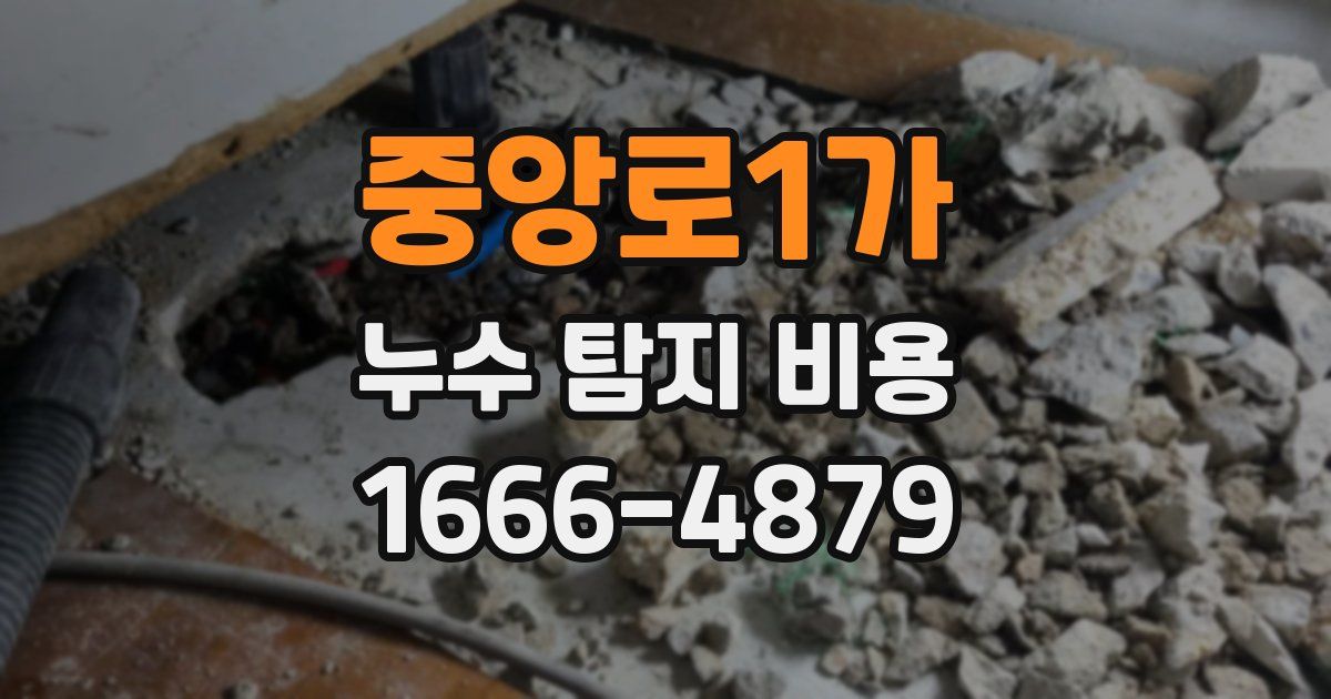 중앙로1가 누수 탐지 비용
