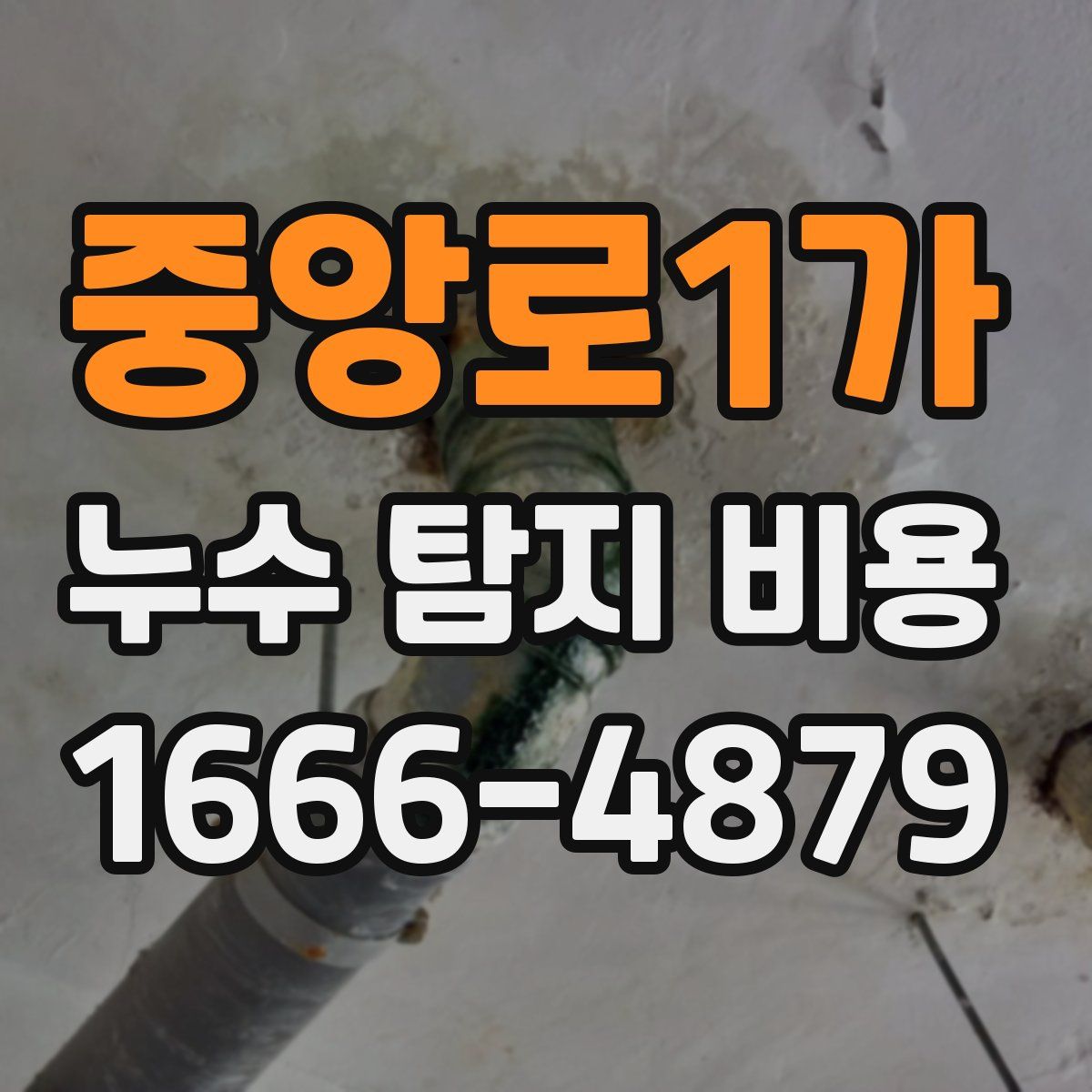 중앙로1가 누수 탐지 비용