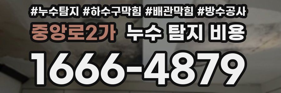 중앙로2가 누수 탐지 비용