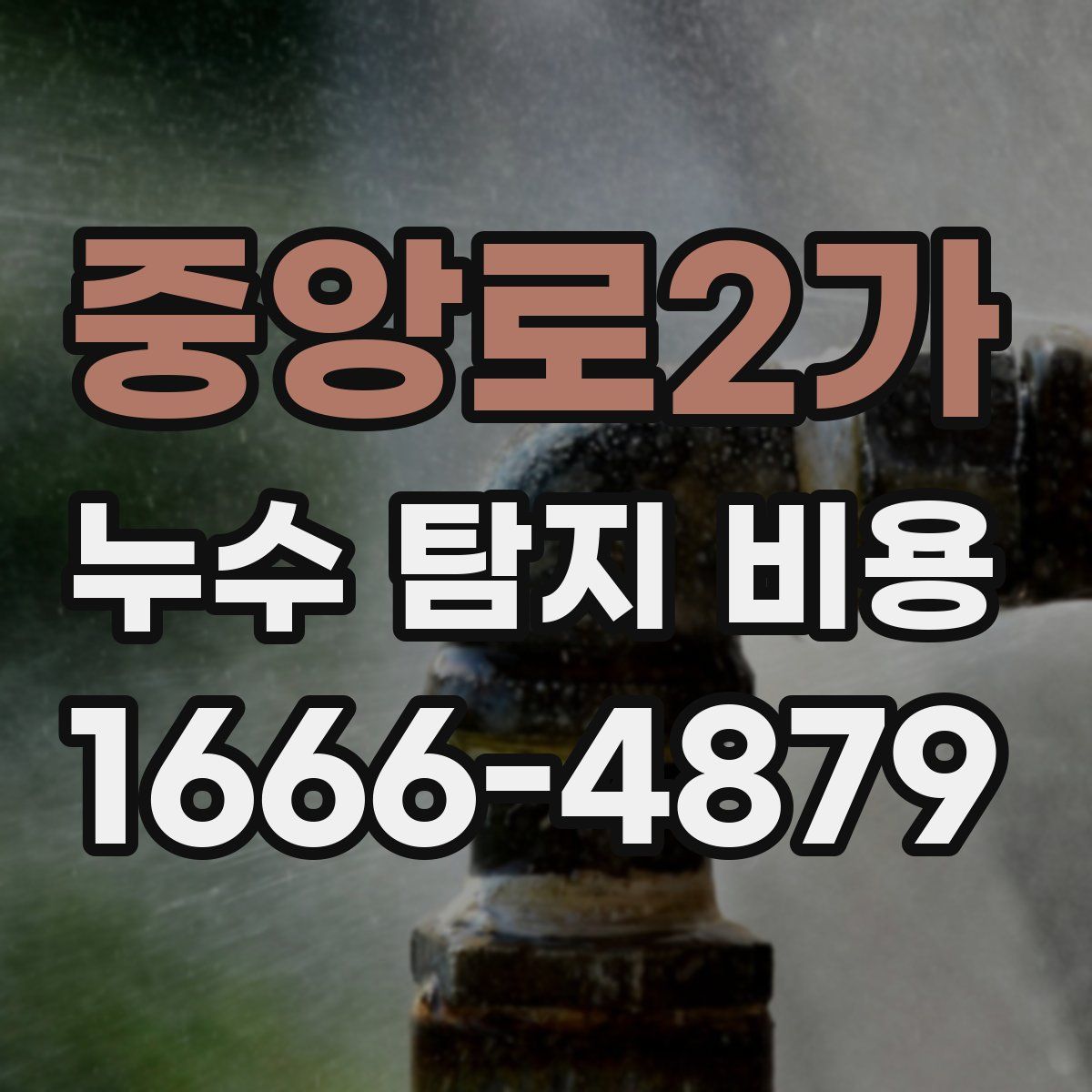 중앙로2가 누수 탐지 비용