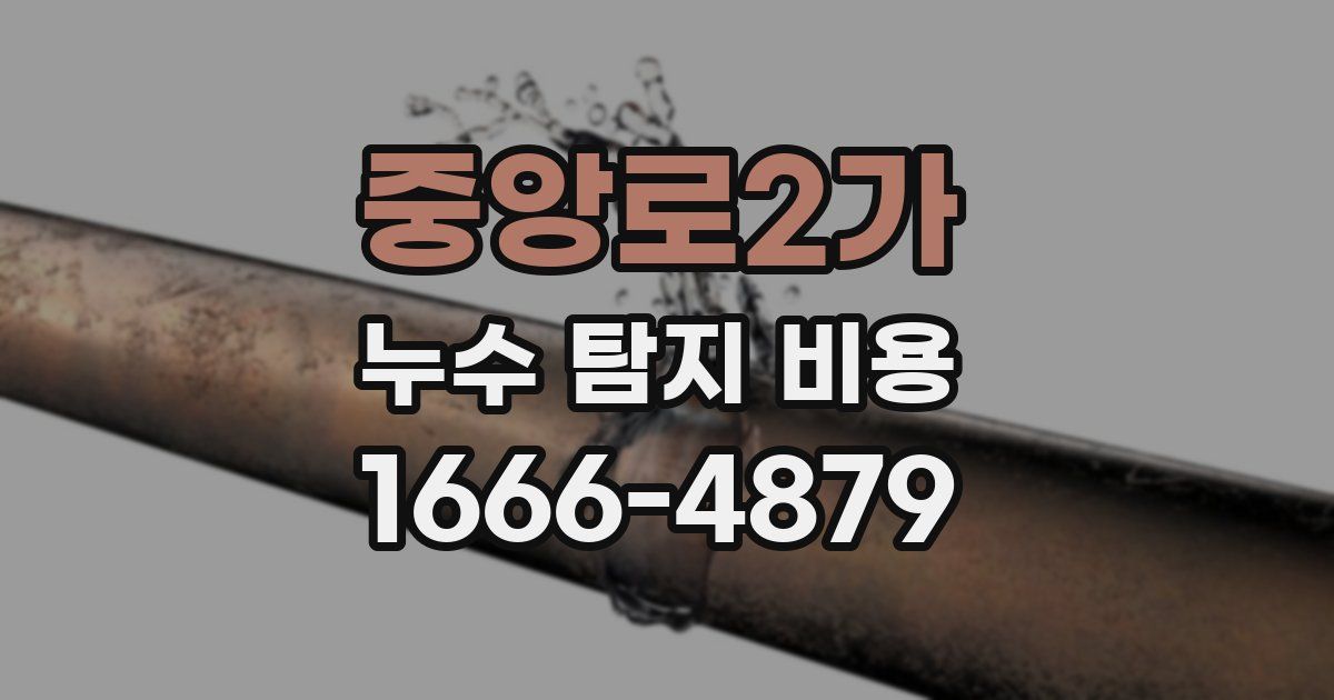 중앙로2가 누수 탐지 비용