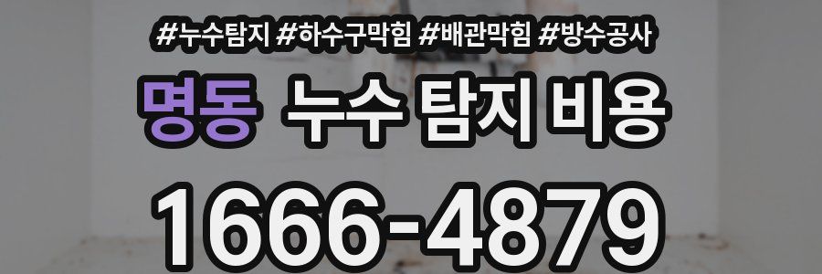 명동 누수 탐지 비용