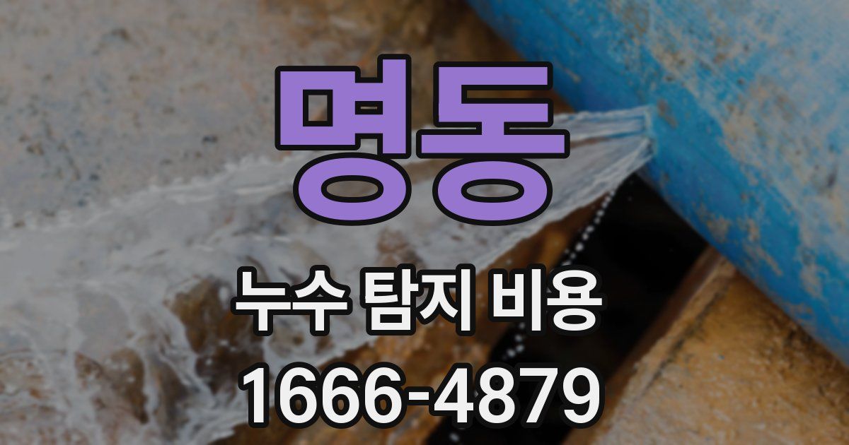 명동 누수 탐지 비용