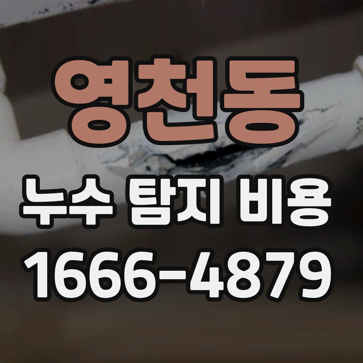 영천동 누수 탐지 비용