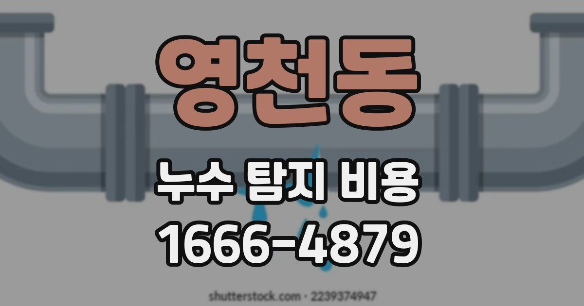 영천동 누수 탐지 비용