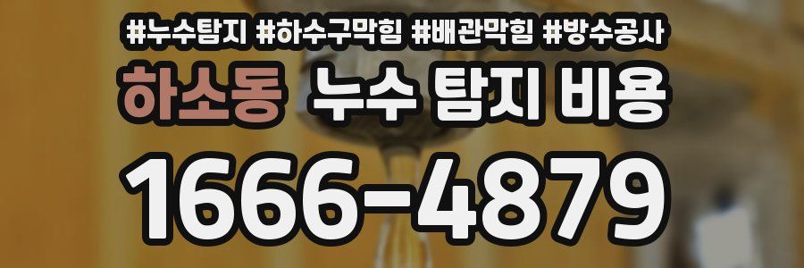 하소동 누수 탐지 비용