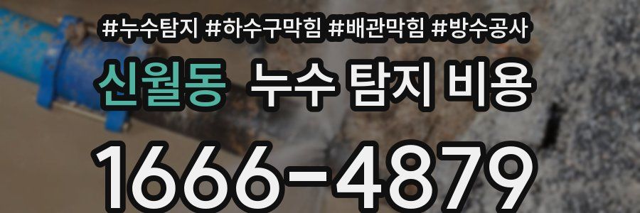 신월동 누수 탐지 비용