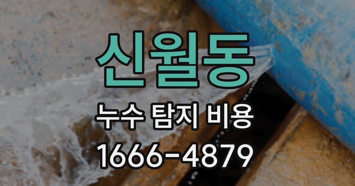 신월동 누수 탐지 비용