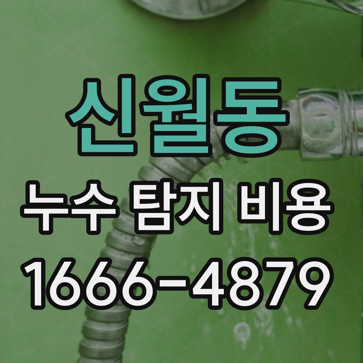 신월동 누수 탐지 비용