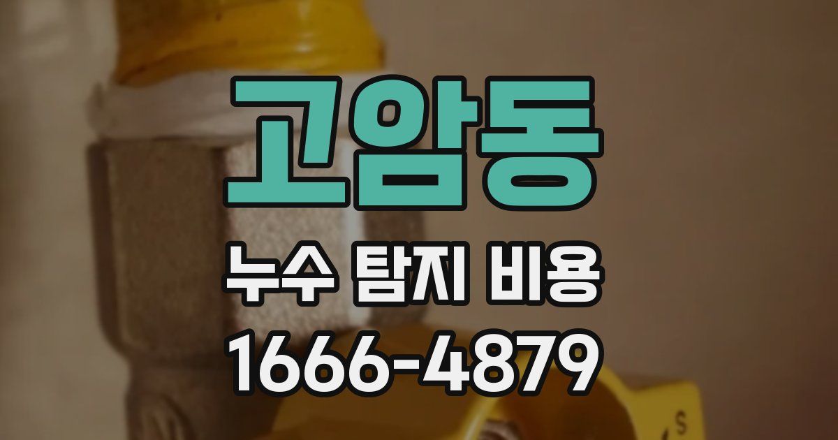 고암동 누수 탐지 비용