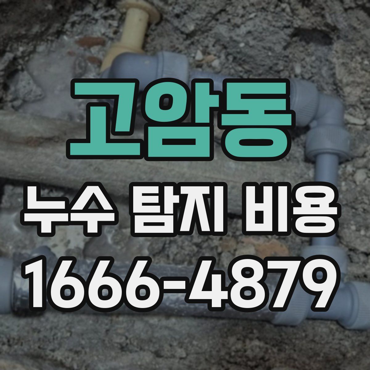 고암동 누수 탐지 비용