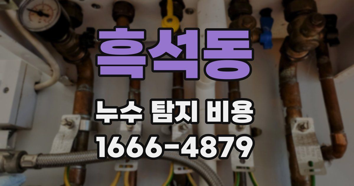 흑석동 누수 탐지 비용