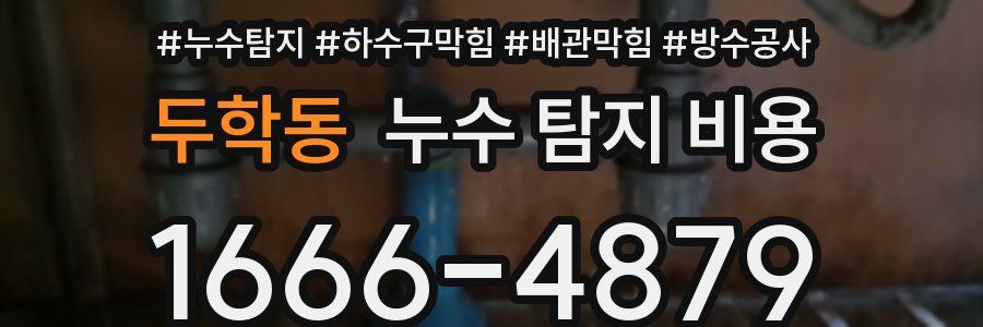 두학동 누수 탐지 비용
