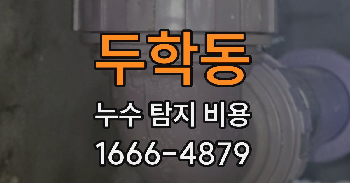 두학동 누수 탐지 비용