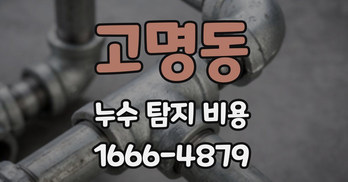 고명동 누수 탐지 비용