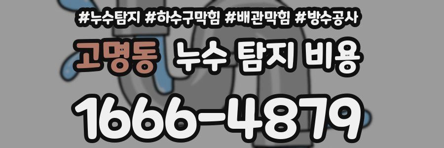 고명동 누수 탐지 비용