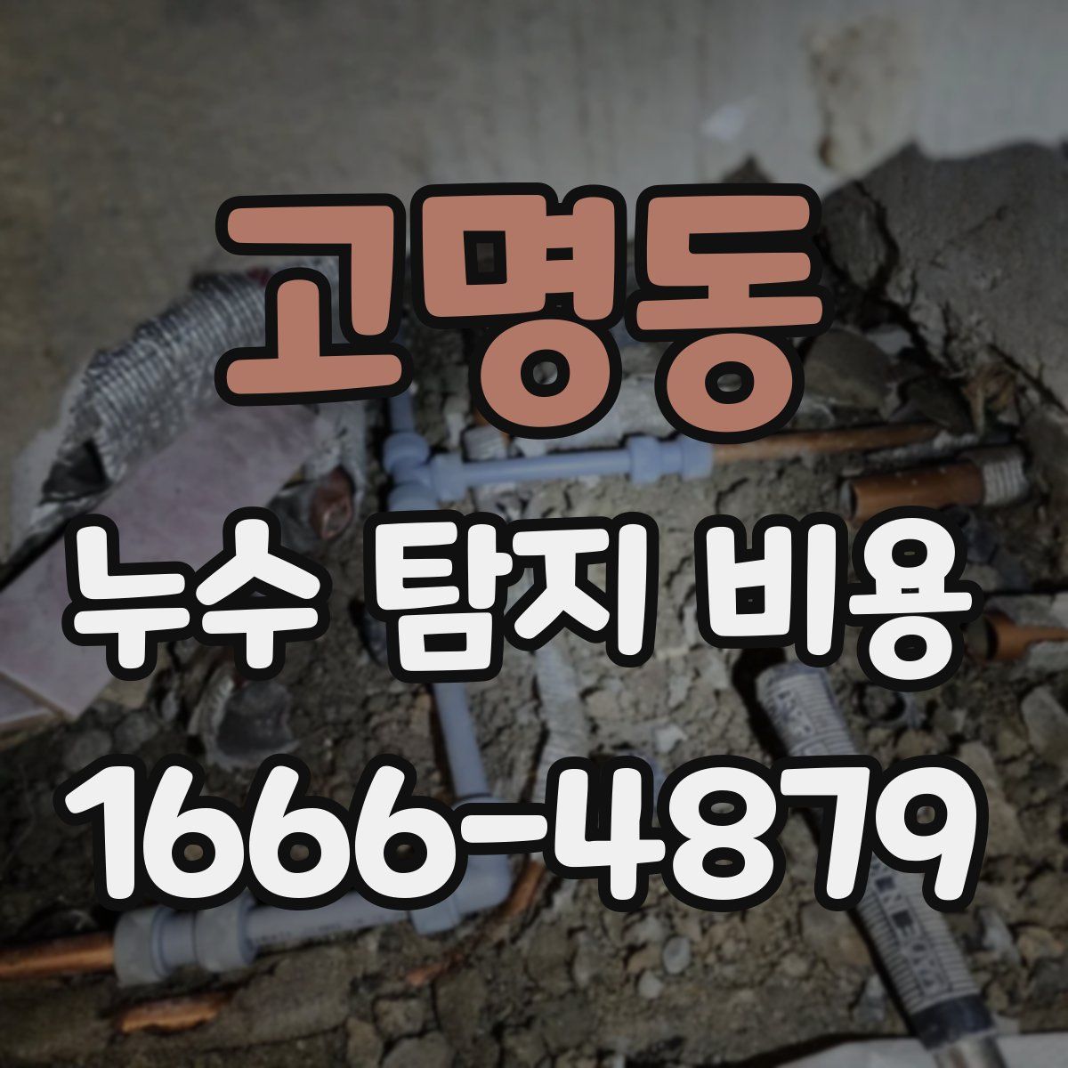 고명동 누수 탐지 비용