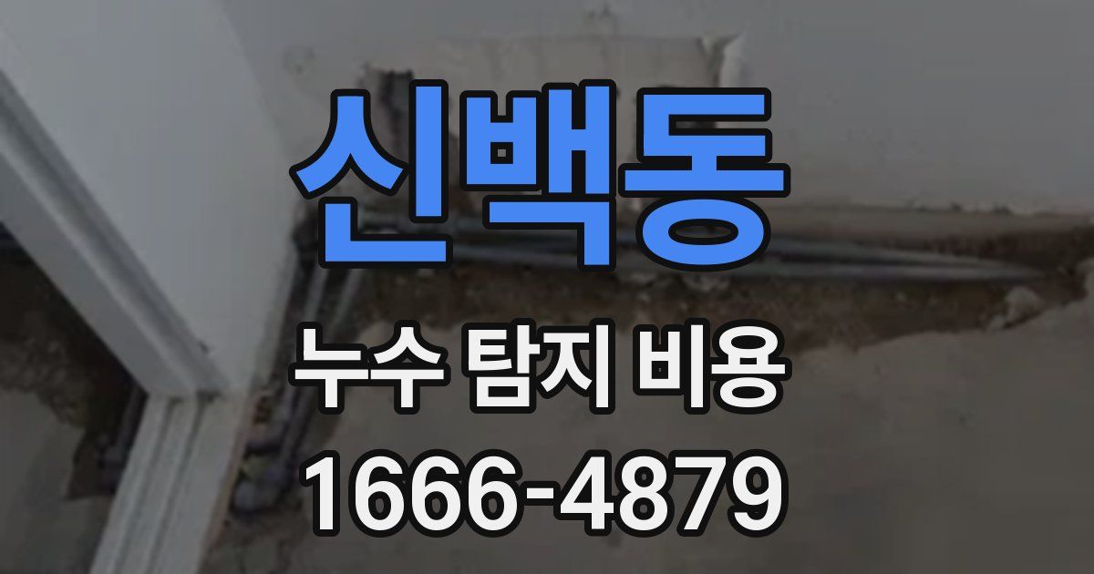 신백동 누수 탐지 비용