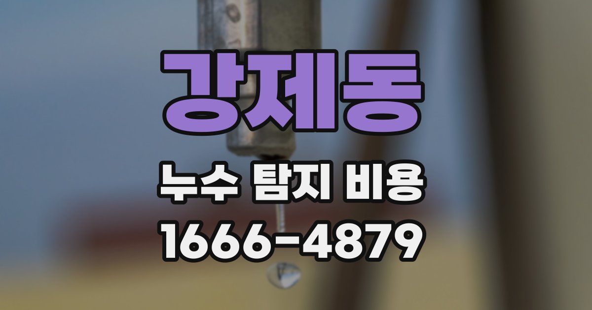 강제동 누수 탐지 비용
