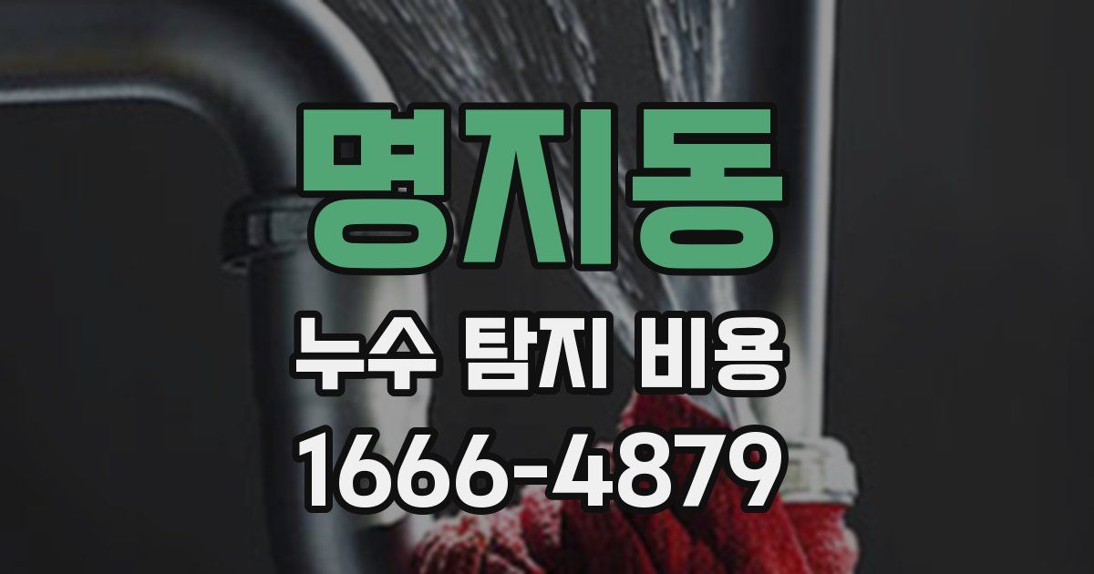 명지동 누수 탐지 비용
