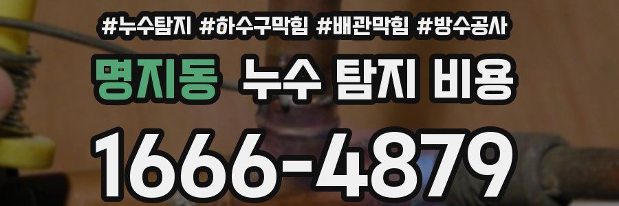 명지동 누수 탐지 비용
