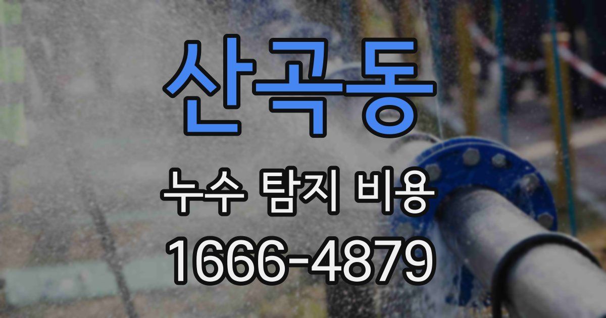 산곡동 누수 탐지 비용