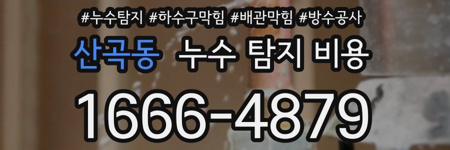 산곡동 누수 탐지 비용