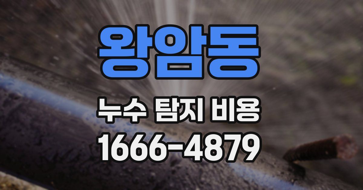 왕암동 누수 탐지 비용