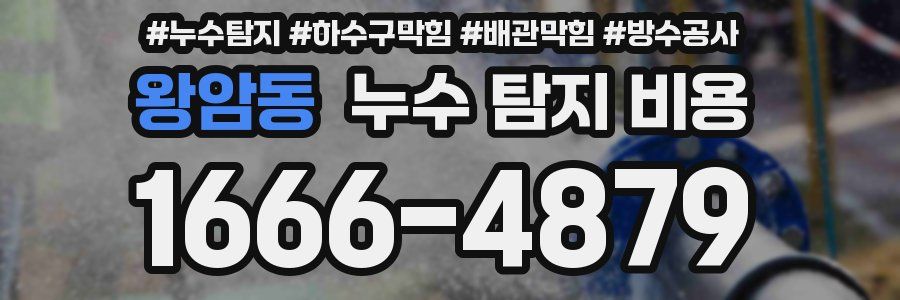 왕암동 누수 탐지 비용
