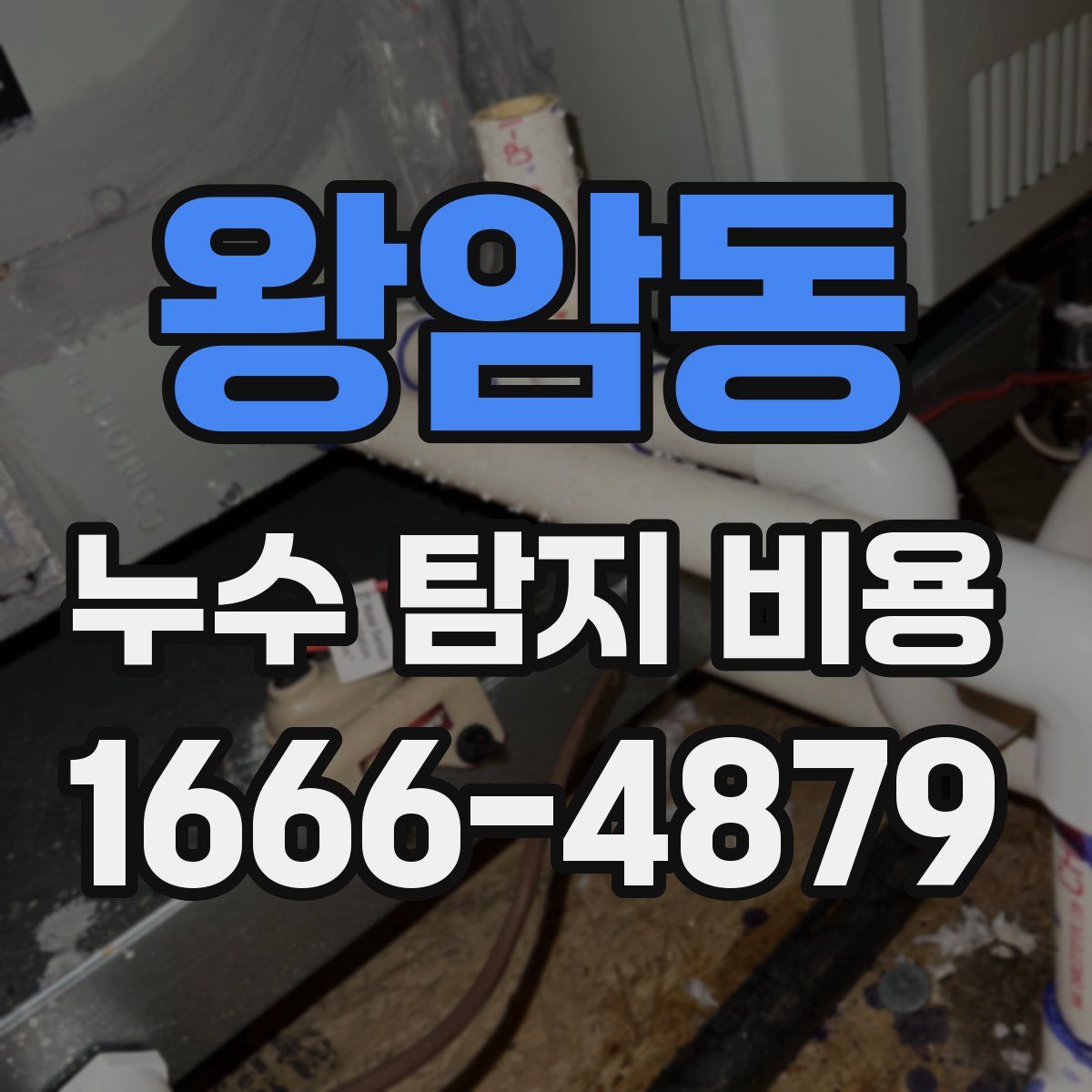 왕암동 누수 탐지 비용